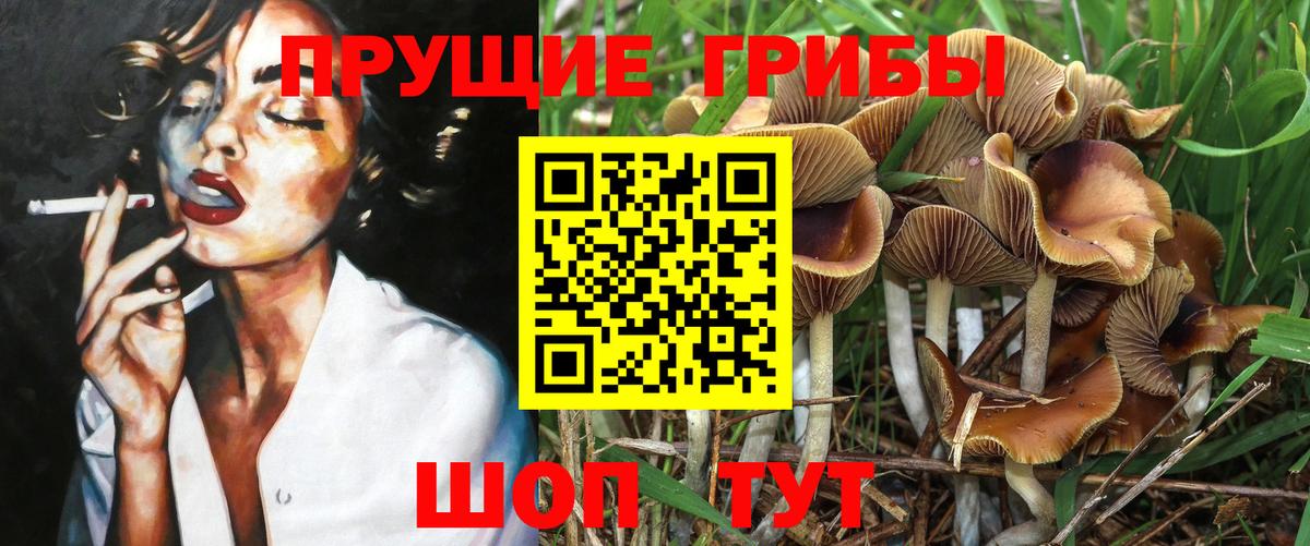 Галлюциногенные грибы Magic Shrooms Анапа